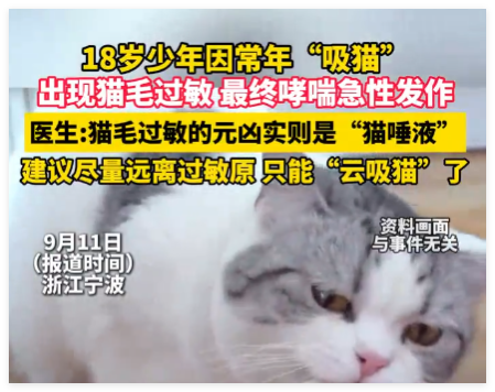 男孩常年“吸猫”致哮喘急性发作 究竟是怎么回事？