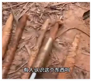 养猪场丢失20多头猪发现多支箭头 到底是什么情况？