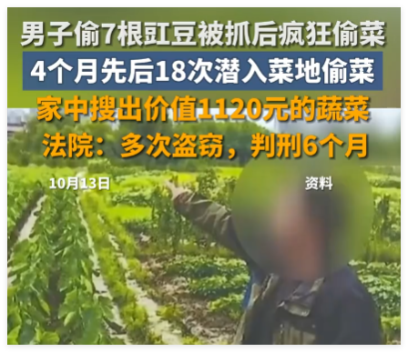 男子4个月偷菜18次获刑6个月 究竟是怎么回事？