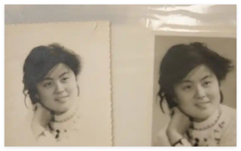 男子直播挖蛇被咬 没打血清失联至今 内幕曝光简直太意外了