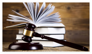 遛狗未拴绳惊倒路人 饲养人赔28万 事件始末2025最新消息