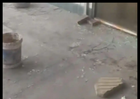 山西“狗咬人引发的血案”今日开庭 内幕曝光简直太意外了