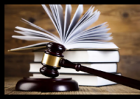 遛狗未拴绳惊倒路人 饲养人赔28万 事件始末2025最新消息